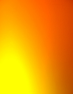 Jai McKenzie, Superstructure, 2010 (detail)