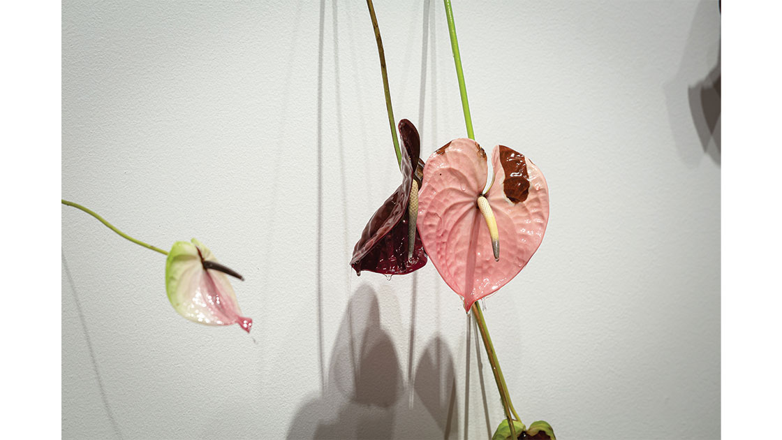 Audrey Newton - Artist Profile